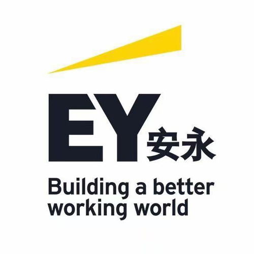 金融科技創(chuàng)新團隊的實地實習 探索金融信息咨詢的未來