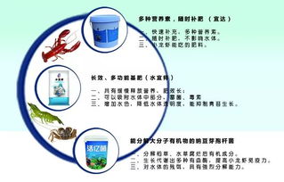 四月金磚水產盛會 先進養殖設備與技術齊聚廈門